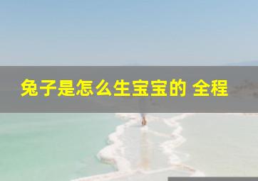 兔子是怎么生宝宝的 全程